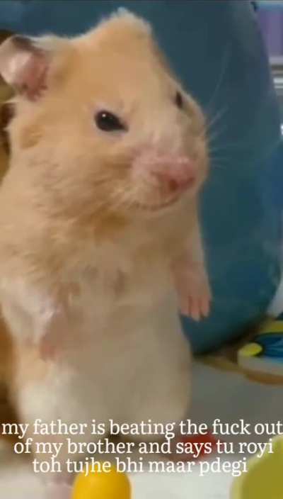 Sorry papa(⁠T⁠T⁠)