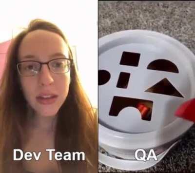 Leaked video of Womble as a QA tester