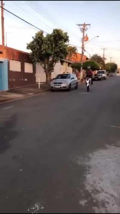 WCGW doing a stoppie