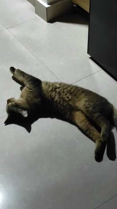 Is this normal? First time I've seen him do this