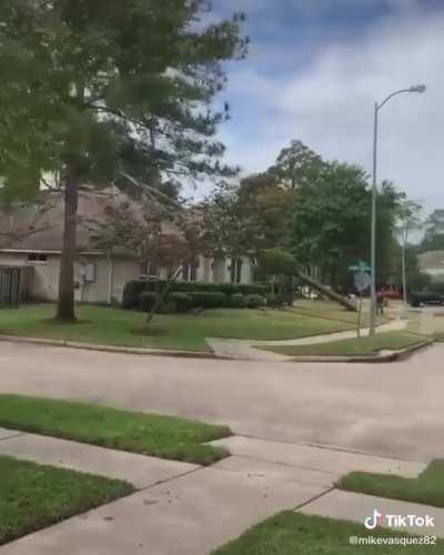 Idiot hits house with a tree.