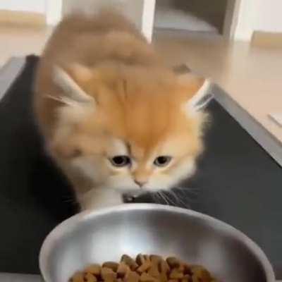 When he gonna get it