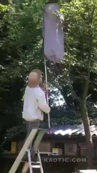 To get the bee's nest safely