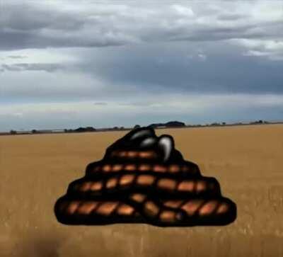 Bombs are the best & ropes are the worst