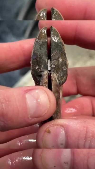 Maybe maybe maybe