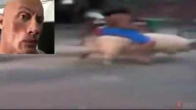 clesh royla chatares 😱100 %100 real