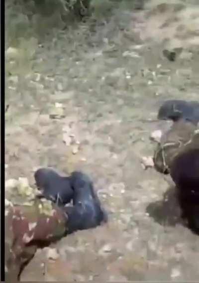 to fire an RPG successfully 