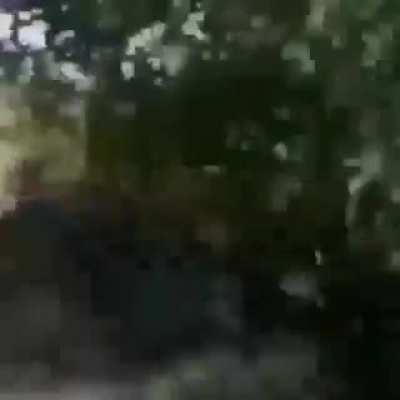 Russians daily life be like :