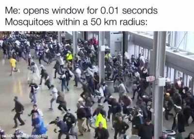 Looks like meat is back on the menu