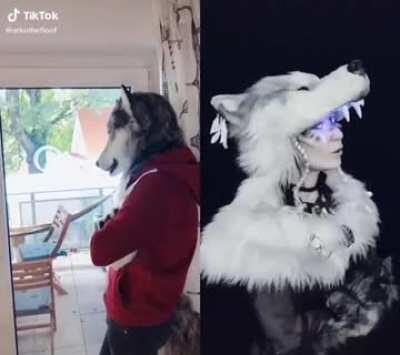 The only video I could retrieve with the wayback machine on TTCA: Wolf Duet