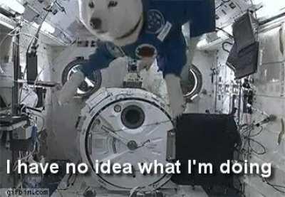 6 years ago I traded my Xbox for 1.15 Million Doge - Today that Doge is worth over $163,000