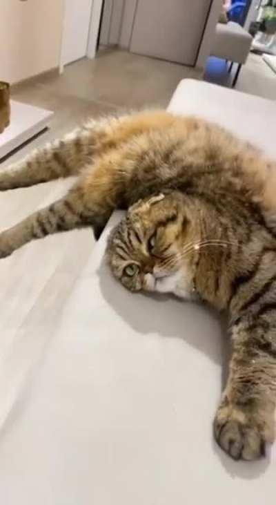 Ну кому как удобнее