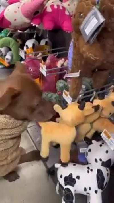 Self care is important. TREAT YOSELF!