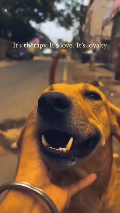 They provide the most unconditional love ❤️🐾