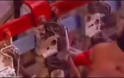 Schmiergeld ist gezahlt!