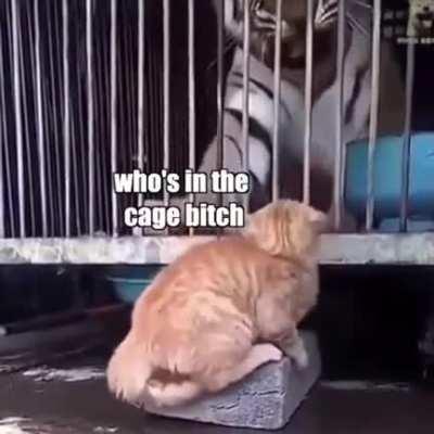 Стальные бубенцы