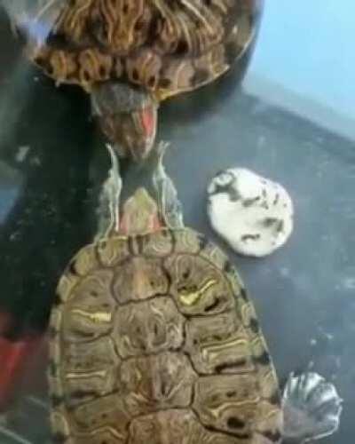 Um existido interagindo com qualquer personagem