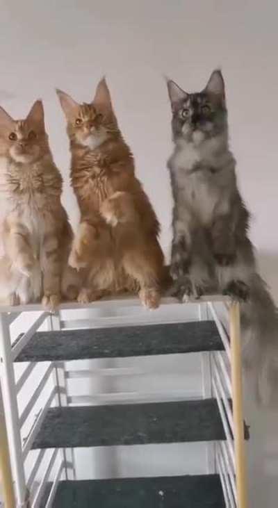 Немного музыки