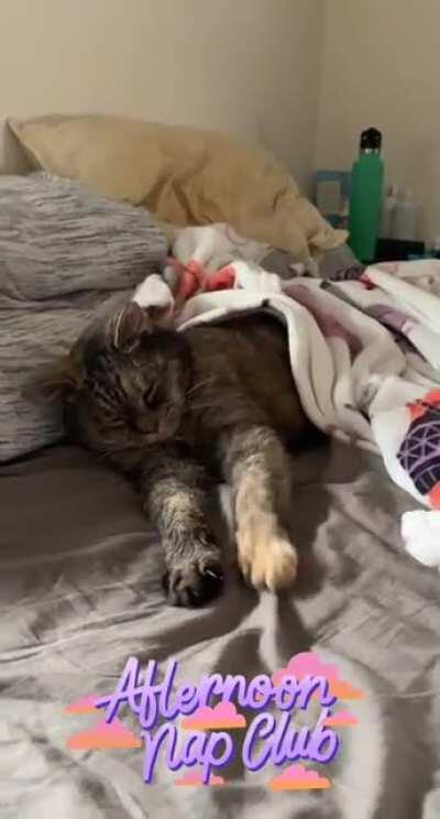 She can never be too warm