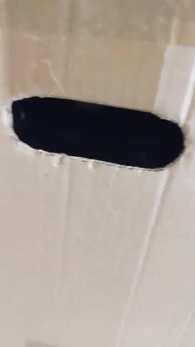 don't stick your finger in there... or anything else for that matter.