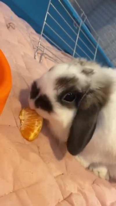 Mom gave me an orange for the first time