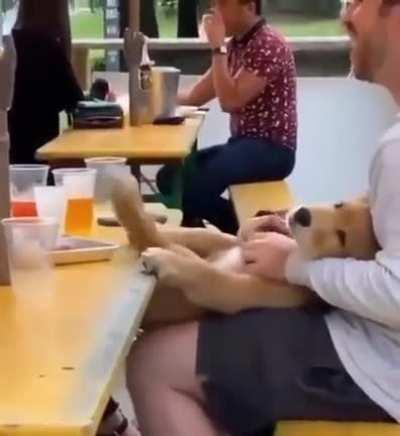 Puppies be so ticklish.