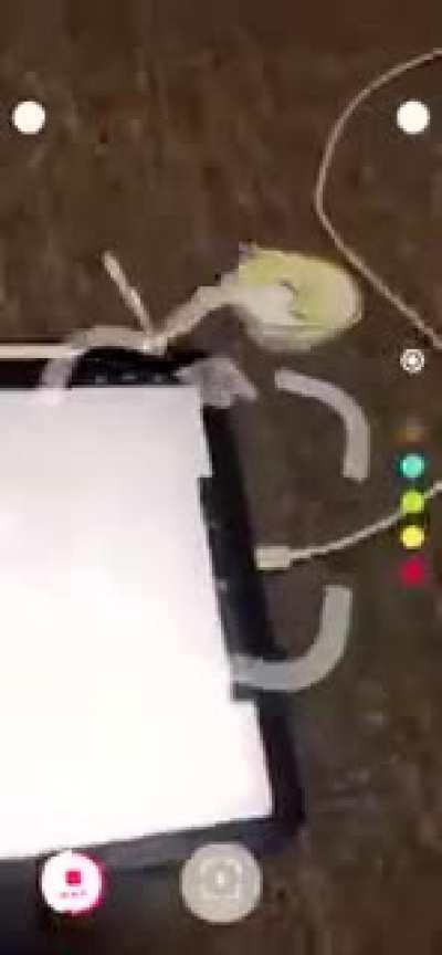 Why are you scaring? Isn't this what you wanted?