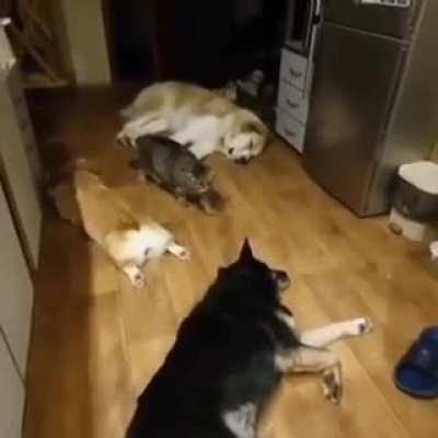 Going Through Dark Bramble