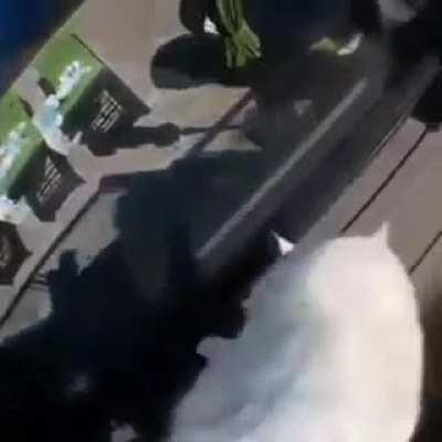 somebody please keep me away from editing software