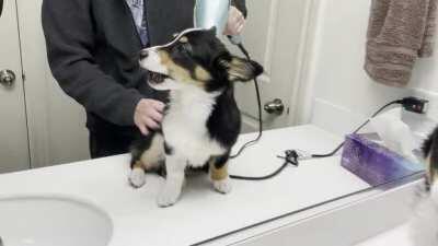 After getting dirty outside, Penny got an in-home spa day
