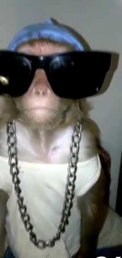 Illo, que flow se carga el Orson no?