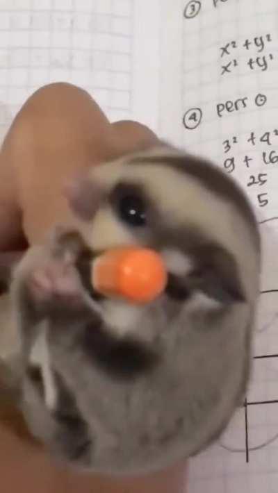 Secret behind scoring good marks in exams..😅