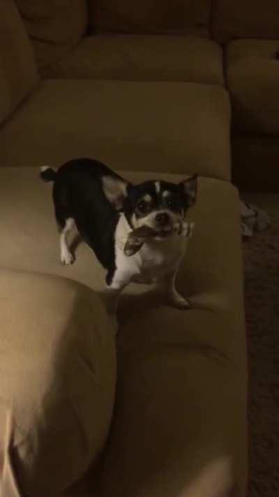 She makes some unique sounds when she wants to hide something