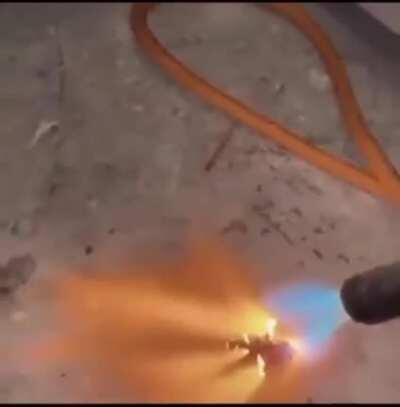 me when I see dreamphobes