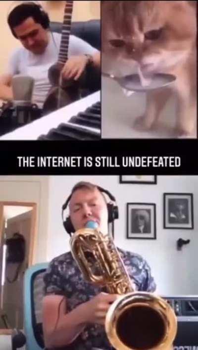 Amazing mashup to cat drinking milk