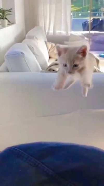 Uuh.. Almost calculated