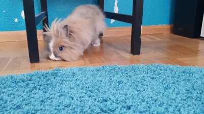 Warning: Slippery floor. 😁