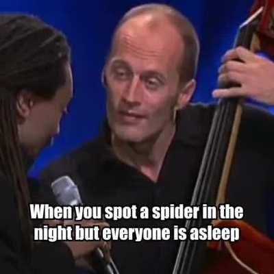 When you spot a spider in the night but everyone is asleep