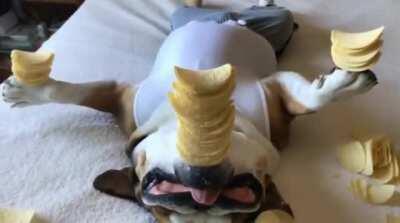 Me HODLING waiting for the squeeze