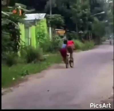 We were doing it wrong.