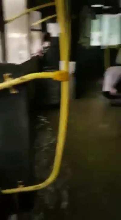 Just your average amphibious bus in Russia