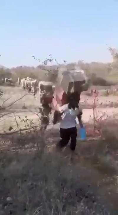 Death Stranding Multiplayer 