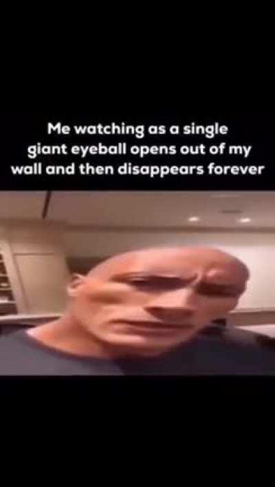 where did it... WHERE DID IT GO?!