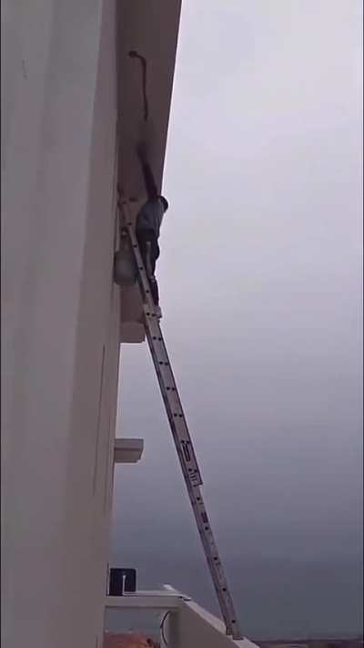 Why would anyone do this