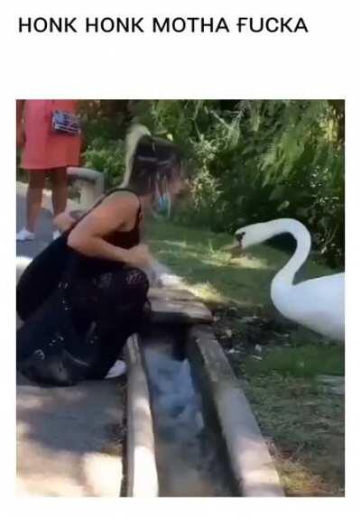 𝚜𝚠𝚊𝚗𝚜 𝚋𝚎 𝚜𝚖𝚊𝚛𝚝𝚎𝚛 𝚝𝚑𝚊𝚗 𝚊𝚗𝚝𝚒-𝚖𝚊𝚜𝚔𝚎𝚛𝚜