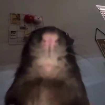 Honey boo boo fart compilation digital surround sound hd 2015 video