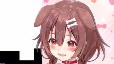 What kind of pizza do you guys like?