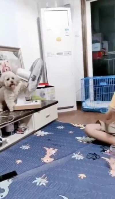 HMB while i adjust the fan.