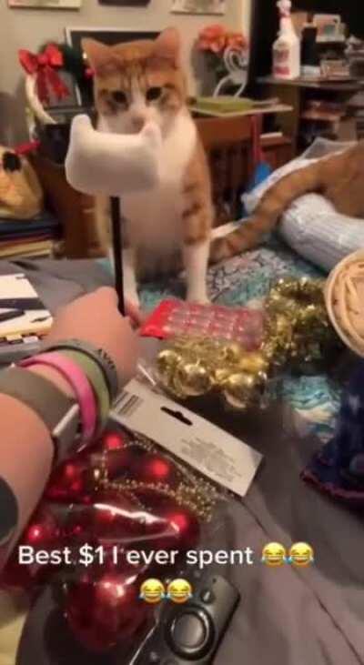 WHO is that, Bethany???