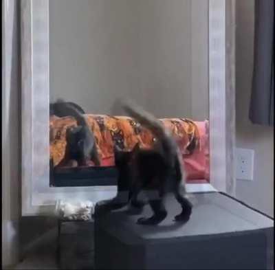 Getting his Halloween moves down